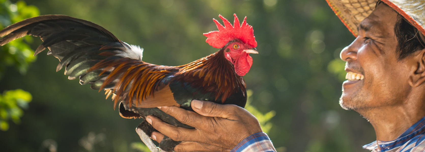 A Whole New Way To Chic-ken