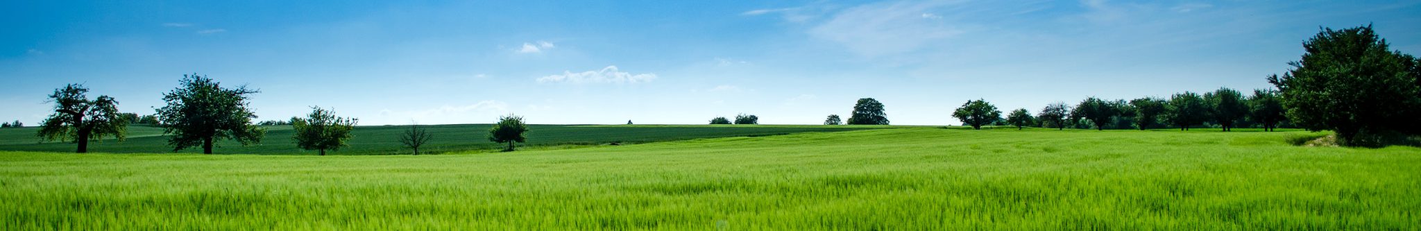 Chef’s Table #2: Isan Summer