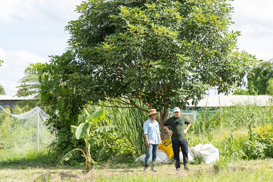 Meet the Food Artisans: Tan Khun Organic Farm