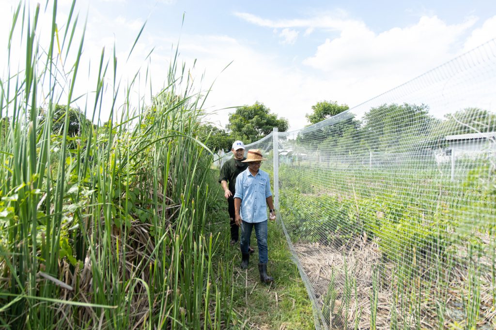 Tan Kho Farm