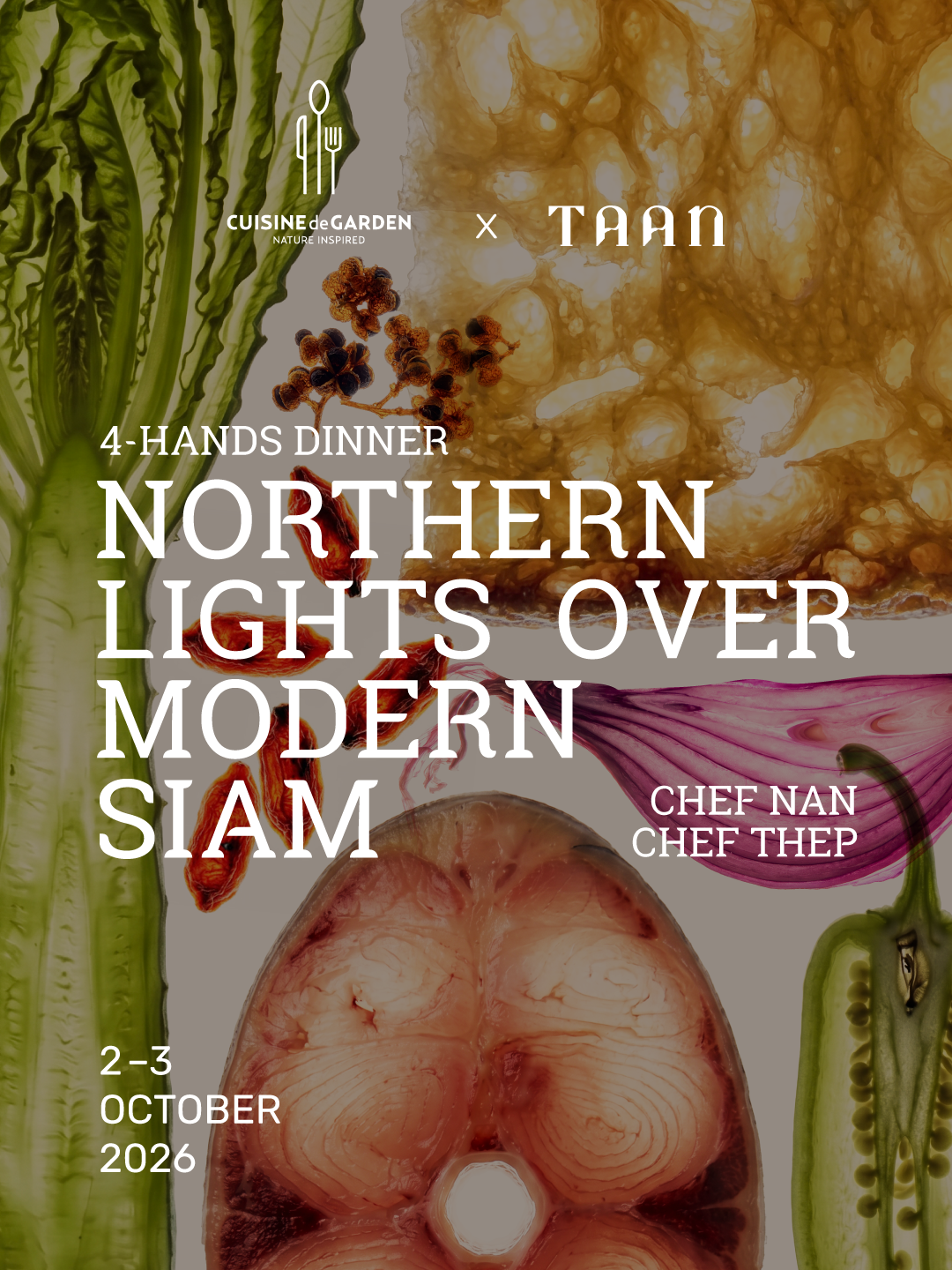 TAAN PROMO